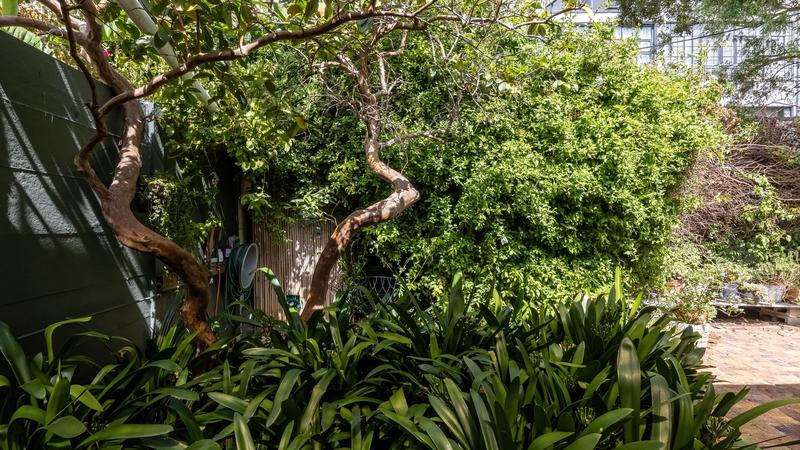 2 Bedroom Property for Sale in Woodstock Upper Western Cape